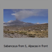 Sabancaya from S, Alpacas in front